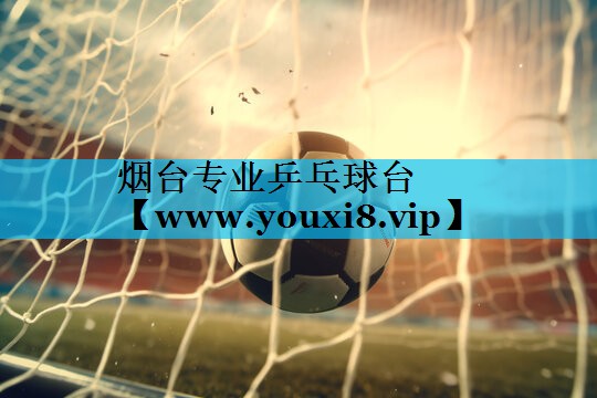 烟台专业乒乓球台 烟台专业乒乓球台