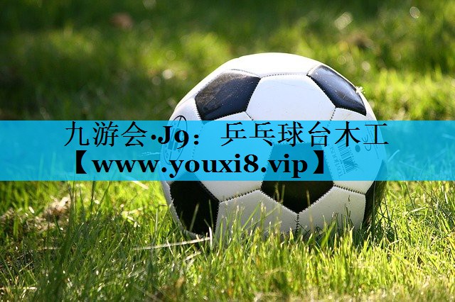 乒乓球台木工