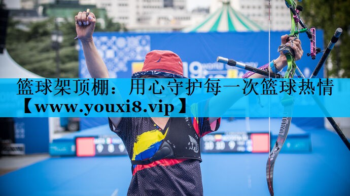 篮球架顶棚:用心守护每一次篮球热情 篮球架顶棚:用心守护每一次篮球热情