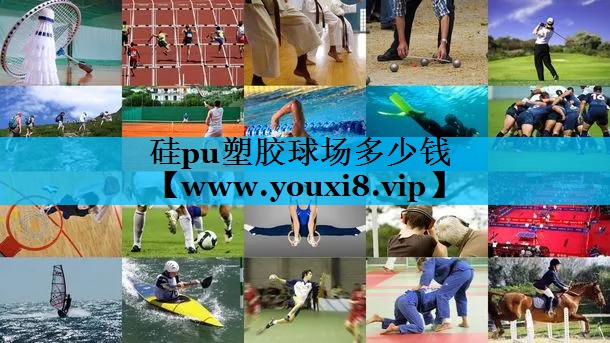 硅pu塑胶球场多少钱 硅pu塑胶球场多少钱