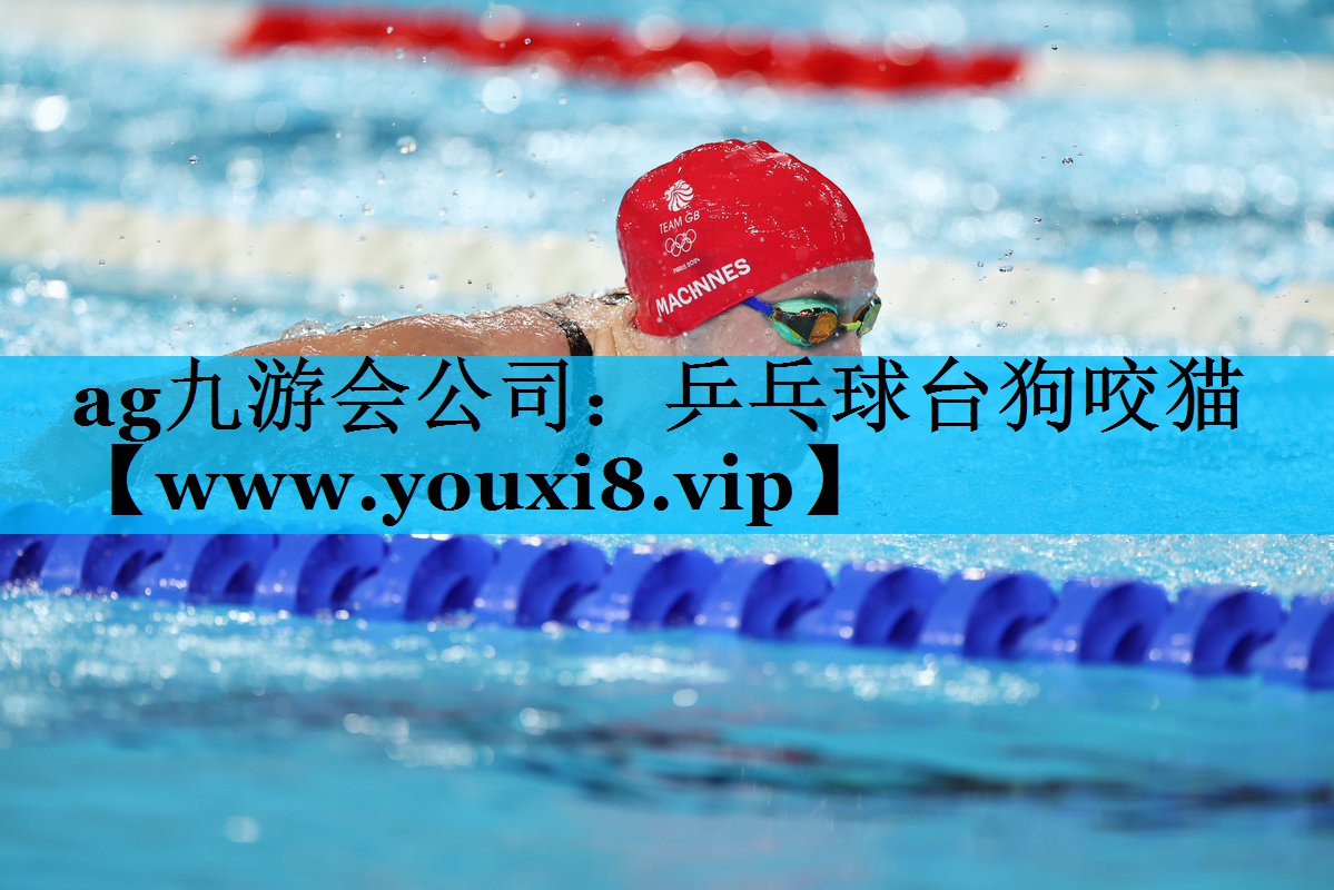 乒乓球台狗咬猫 乒乓球台狗咬猫