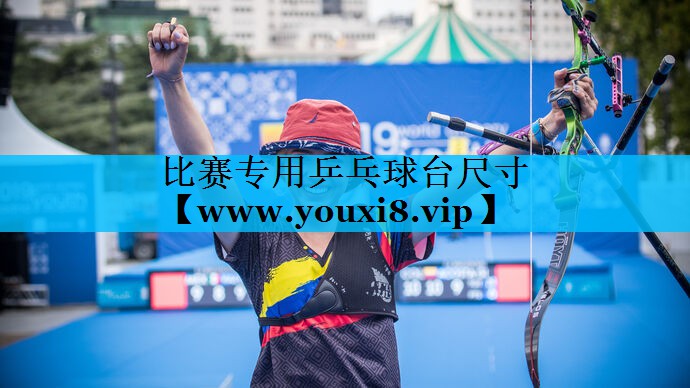 比赛专用乒乓球台尺寸 比赛专用乒乓球台尺寸