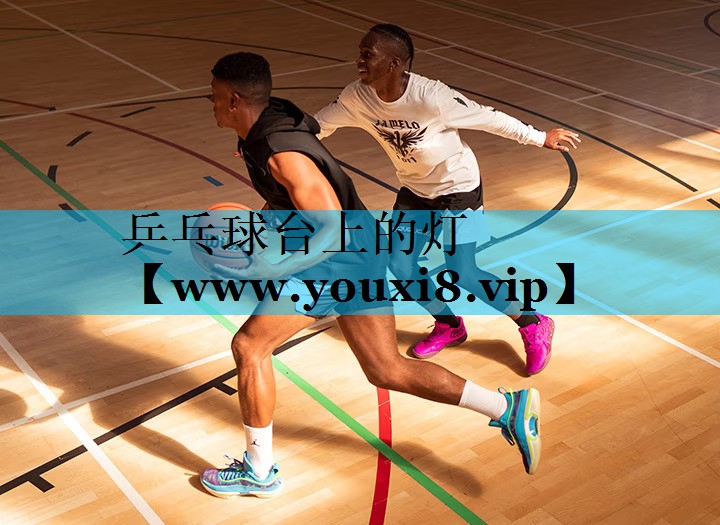 乒乓球台上的灯 乒乓球台上的灯