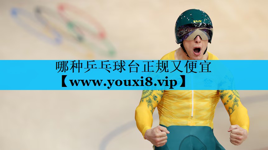 哪种乒乓球台正规又便宜
