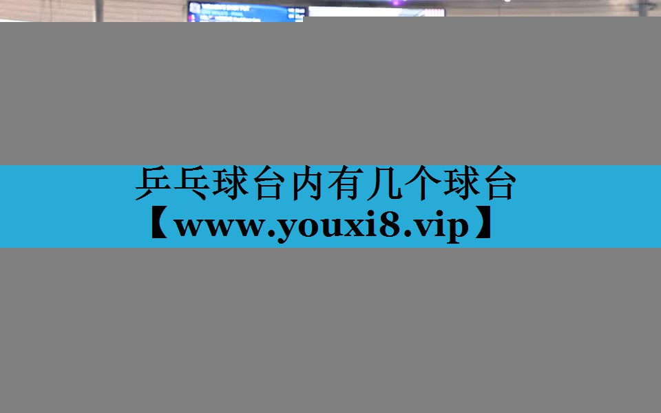 乒乓球台内有几个球台 乒乓球台内有几个球台