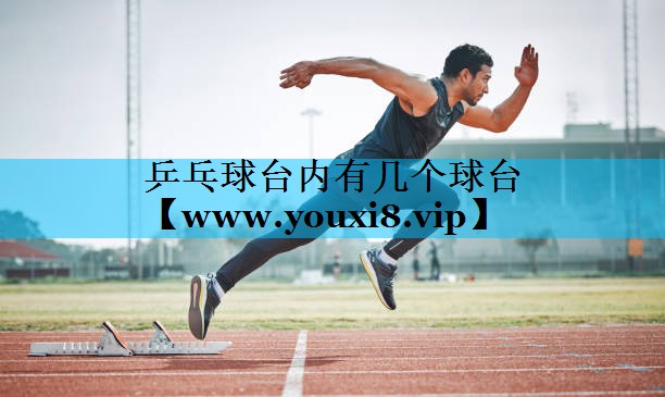乒乓球台内有几个球台 乒乓球台内有几个球台