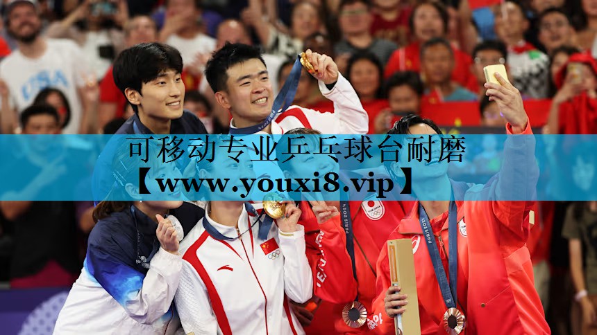 可移动专业乒乓球台耐磨 可移动专业乒乓球台耐磨