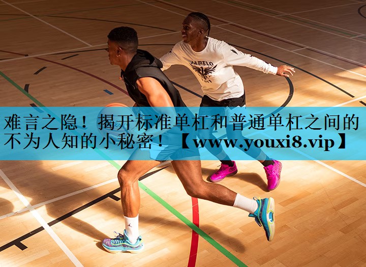 难言之隐!揭开标准单杠和普通单杠之间的不为人知的小秘密! 难言之隐!揭开标准单杠和普通单杠之间的不为人知的小秘密!