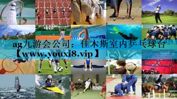 佳木斯室内乒乓球台 佳木斯室内乒乓球台