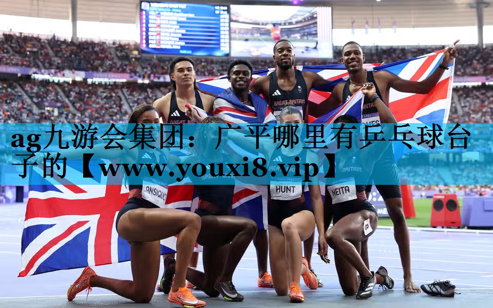 广平哪里有乒乓球台子的 广平哪里有乒乓球台子的
