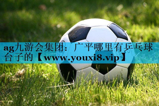 广平哪里有乒乓球台子的 广平哪里有乒乓球台子的