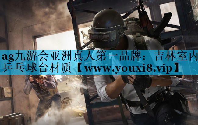吉林室内乒乓球台材质 吉林室内乒乓球台材质